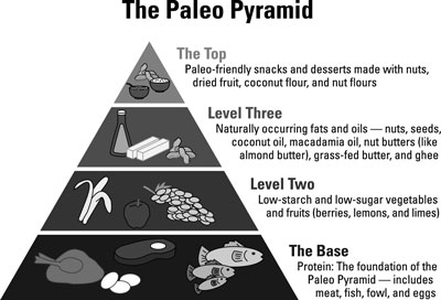 the science of the paleo diet