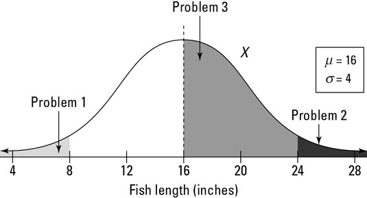 The distribution of fish lengths in a pond