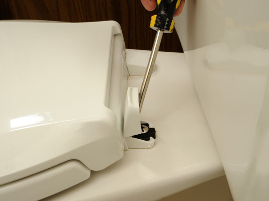How To Replace A Toilet Seat Dummies - How To Change The Toilet Seat Cover
