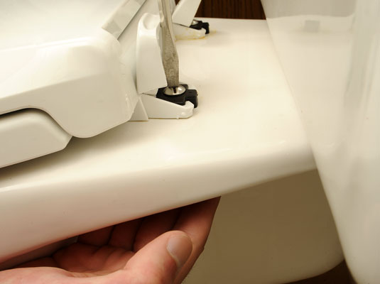 How To Replace A Toilet Seat Dummies - How To Remove The Toilet Seat Cover