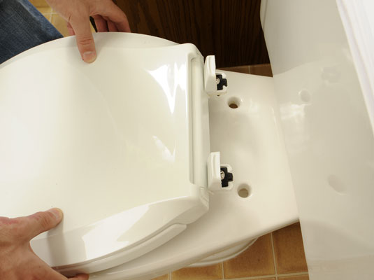How To Replace A Toilet Seat Dummies - How To Set Toilet Seat Cover