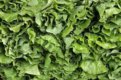Collard greens are also an excellent choice of nutritious leafy greens.