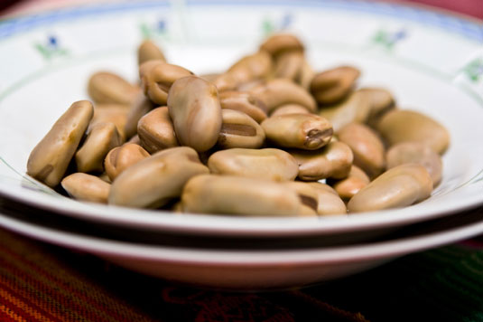 A plate of fava beans.