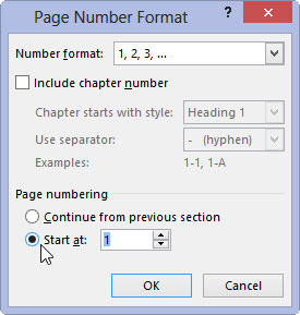 Select the Start At radio button, and type the beginning page number in the box.