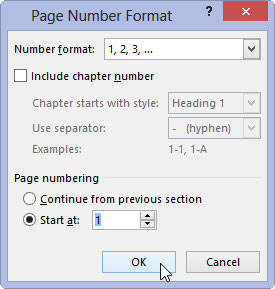 Click OK to close the Page Number Format dialog box.