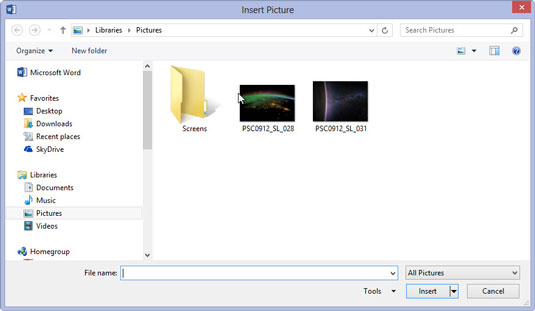 Use the Insert Picture dialog box controls to browse for the image you want.