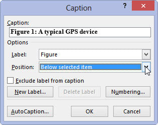 Choose a position for the caption from the Position drop-down list.