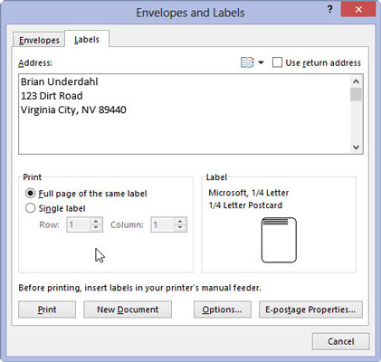 In the Print section of the Envelopes and Labels dialog box, select the Full Page of the Same Label radio button.