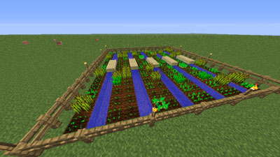 Types of Plants You Can Farm in Minecraft Article - dummies
