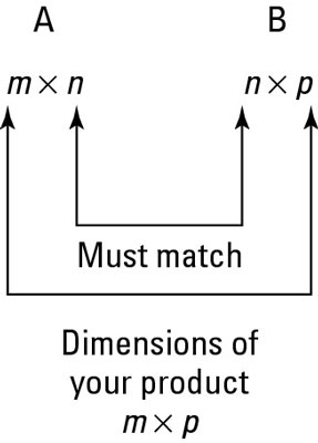 Multiplying two matrices that match up.