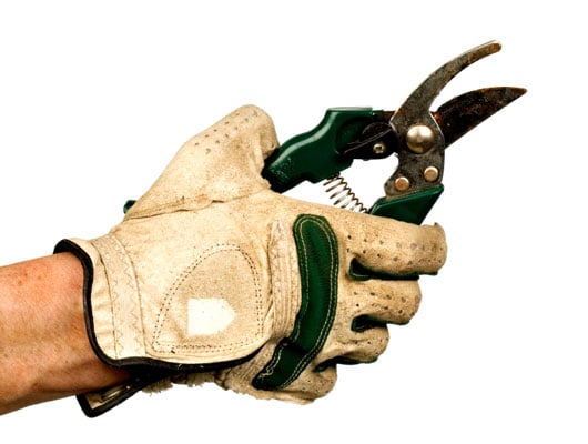 Hand pruners