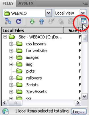 Click the Expand/Collapse button in the upper-right corner of the Files panel to expand the panel.