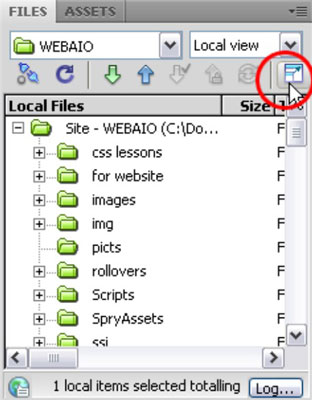 How to Transfer Files to Your Website with Dreamweaver - dummies