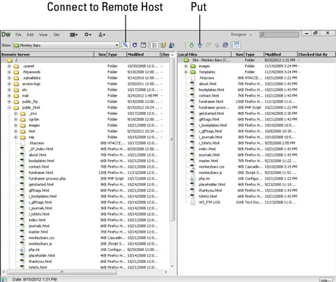 Click the Connect to Remote Server button on the toolbar at the top of the expanded Files panel to establish a connection.