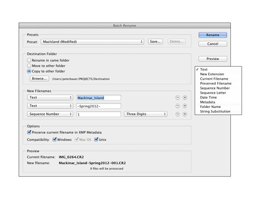 adobe output module bridge cc 2014