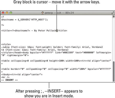 Use the i command to enter Insert mode.