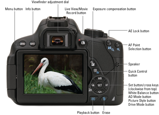 Canon EOS Rebel T5i/700D For Dummies Cheat Sheet - dummies