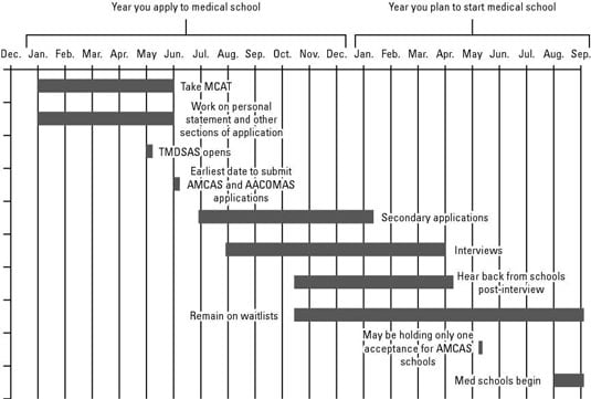 The Medical School Application Timeline for Your Senior Year - dummies