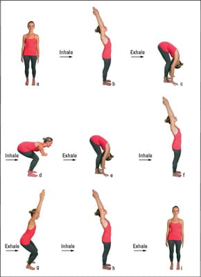 Sun Salutation Yoga Poses For Beginners