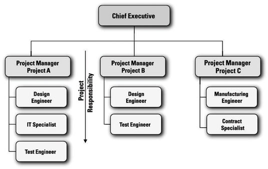 Projectized Organization Chart