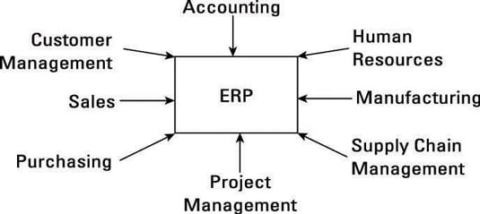 The teams involved in a successful Enterprise Resource Planning.