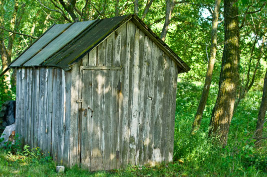 Convert small buildings and sheds into chicken coops.