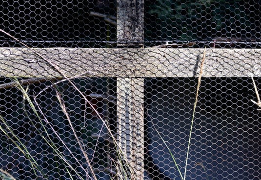 Former aviaries usually have great structure and basics for housing birds.