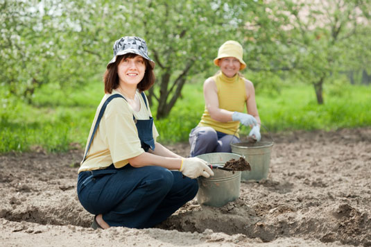 Soil amendments