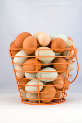 Collect eggs in a specialized basket.