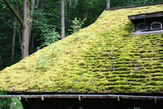 Add a green roof.