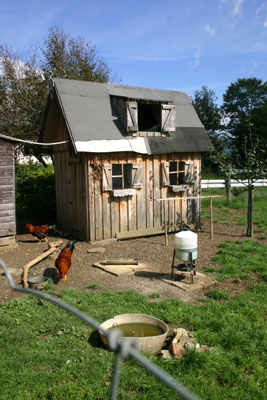 Jazz up the chicken coop.