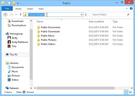 From File Explorer, open your Public folder.