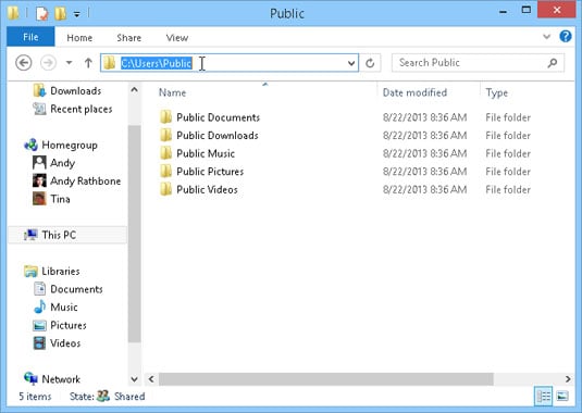 From File Explorer, open your Public folder.