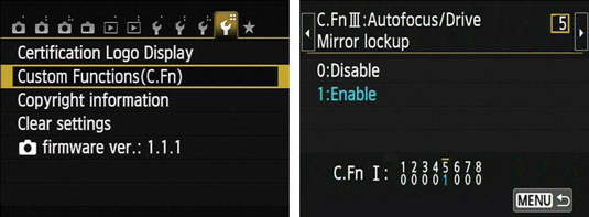 The custom functions menu and mirror lockup screen.