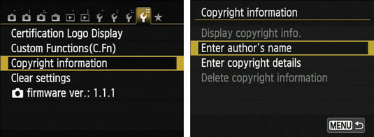 Display Setup Menu 4 and chose Copyright Information.