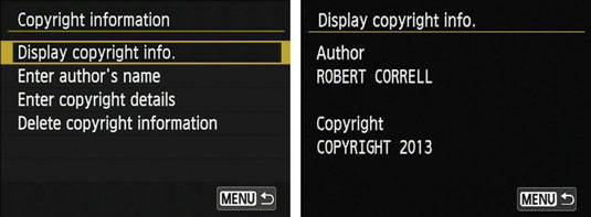 To check the accuracy of your data, choose Display Copyright Info.