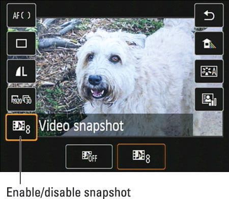 To stop capturing snapshots, return to Movie Menu 2 and set the Video Snapshot option to Disable.