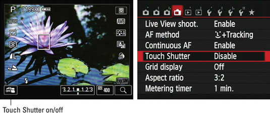 Look for the Touch Shutter icon in the lower-left corner of the monitor.