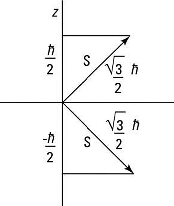 Spin magnitude and <i>z</i> projection.