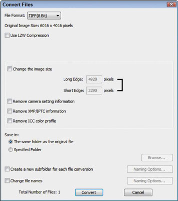 To save the processed file, choose File→Convert Files.