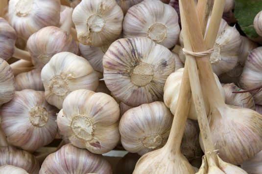 Garlic comes in many forms — fresh as a clove, dried, minced, and in powder — and has been found to have a multitude of health benefits, too!