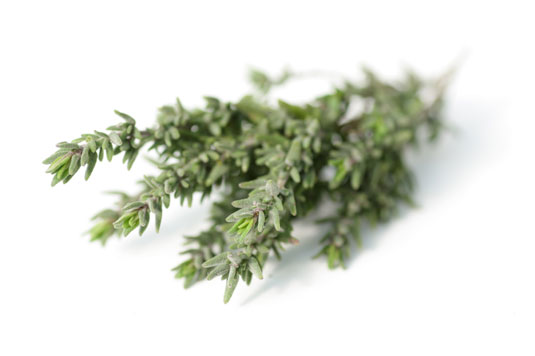 A symbol of courage in the ancient cultures of the Mediterranean, thyme not only packs a strong aromatic flavor but also has antimicrobial properties that protect you from infection.