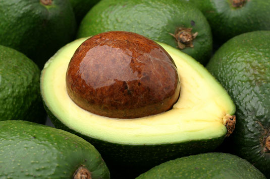 <i>Avocados</i> can be cultivated only in tropical or Mediterranean climates and sometimes in more temperate climates like California.