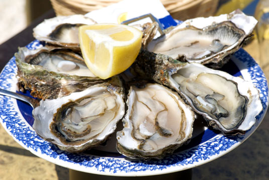 <i>Oysters</i> are an important food source for people in coastal areas, and they are considered a delicacy worldwide.