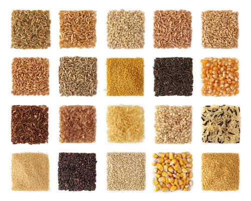 Grains