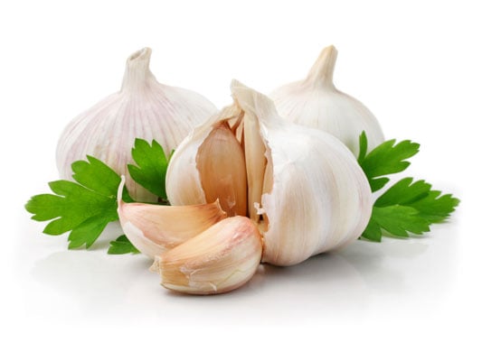 Garlic