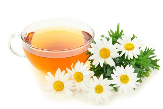 Chamomile