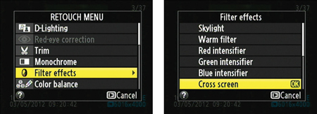 Select the Cross Screen filter from the Filter Effects submenu.