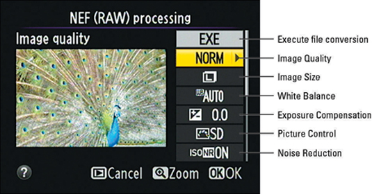 Specify Raw conversion settings here.