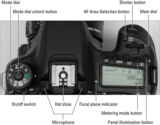 The Canon 70D Camera Layout dummies